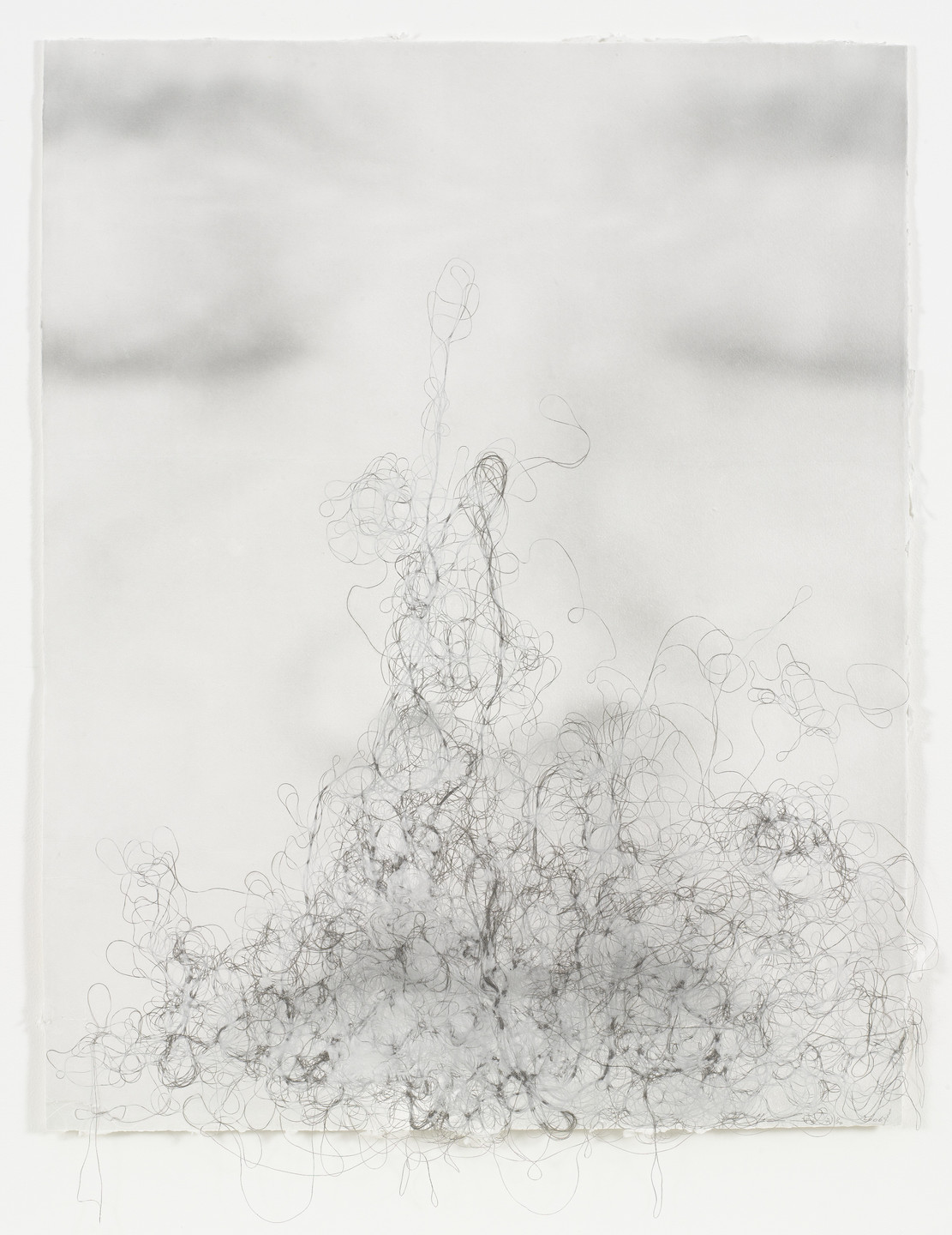 Lin Tianmiao. Focus I C. 2006