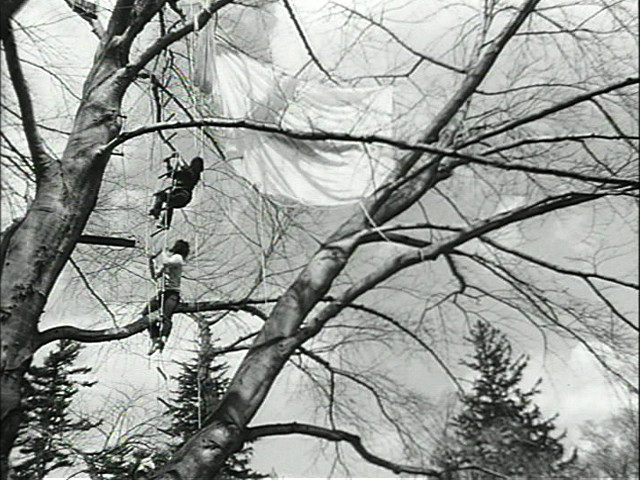 Gordon Matta-Clark. Program Two: Tree Dance. 1971