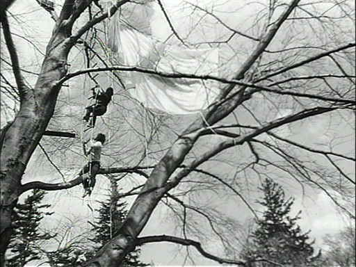 Program Two: Tree Dance