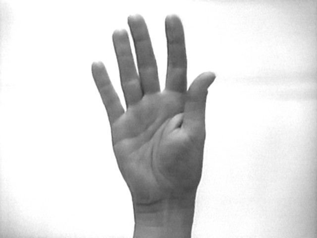 Cuts: Elements of Observation