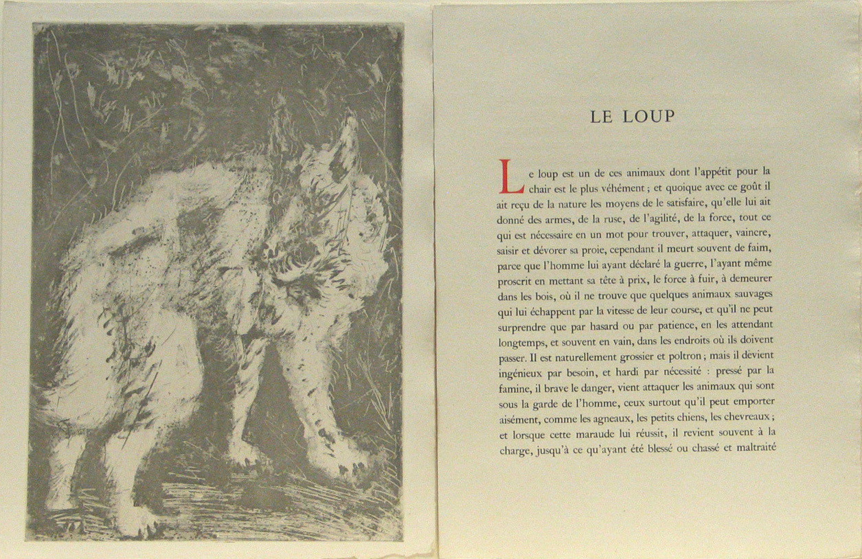Pablo Picasso. The Wolf (Le Loup) (plate, facing page 68) from Eaux-fortes originale pour des textes de Buffon (Histoire naturelle). 1936, published 1942
