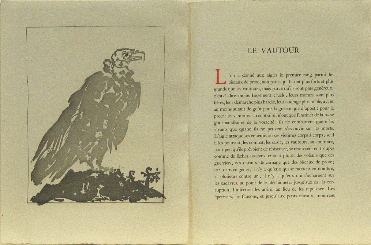 Pablo Picasso. The Vulture (Le Vautour) (plate, facing page 98) from Eaux-fortes originale pour des textes de Buffon (Histoire naturelle). 1936, published 1942