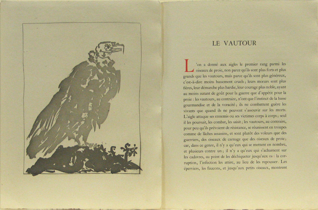 The Vulture (Le Vautour) (plate, facing page 98) from Eaux-fortes originale pour des textes de Buffon (Histoire naturelle)