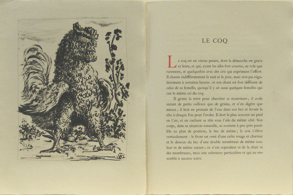 The Cock (Le Coq) (plate, facing page 112) from Eaux-fortes originale pour des textes de Buffon (Histoire naturelle)