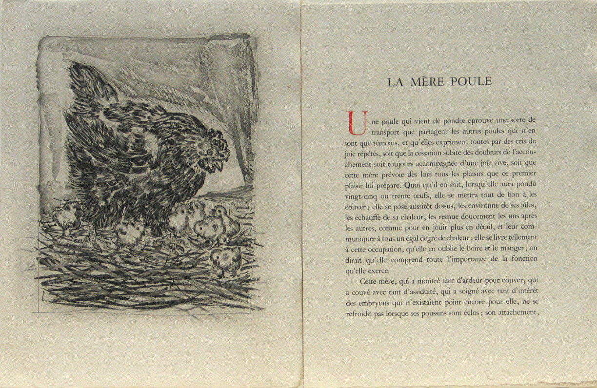 Pablo Picasso. The Mother Hen (La Mère poule) (plate, facing page 118) from Eaux-fortes originale pour des textes de Buffon (Histoire naturelle). 1936, published 1942