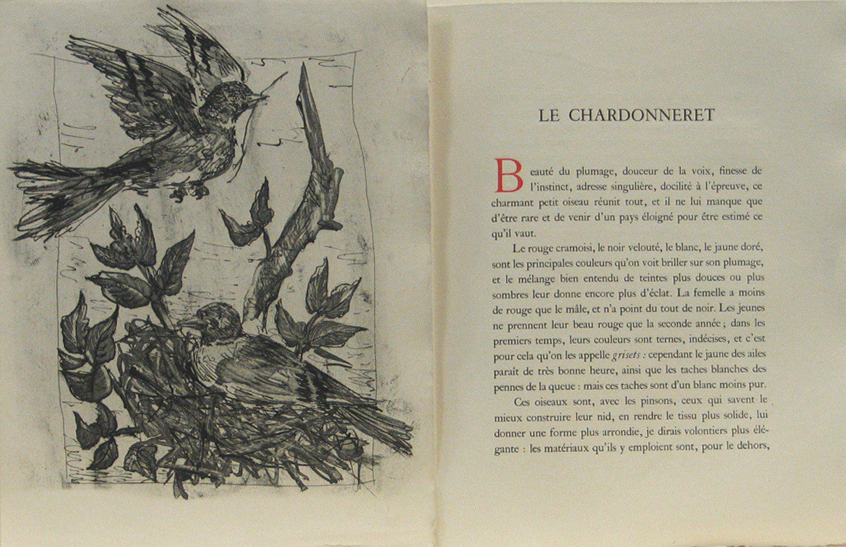 Pablo Picasso. The Goldfinch (Le Chardonneret) (plate, facing page 130) from Eaux-fortes originale pour des textes de Buffon (Histoire naturelle). 1936, published 1942