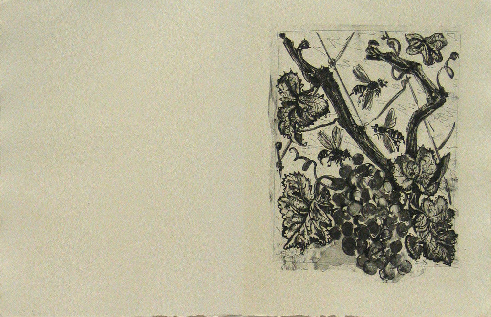 Pablo Picasso. The Wasp (La Guêpe) (plate, facing page 140) from Eaux-fortes originale pour des textes de Buffon (Histoire naturelle). 1936, published 1942