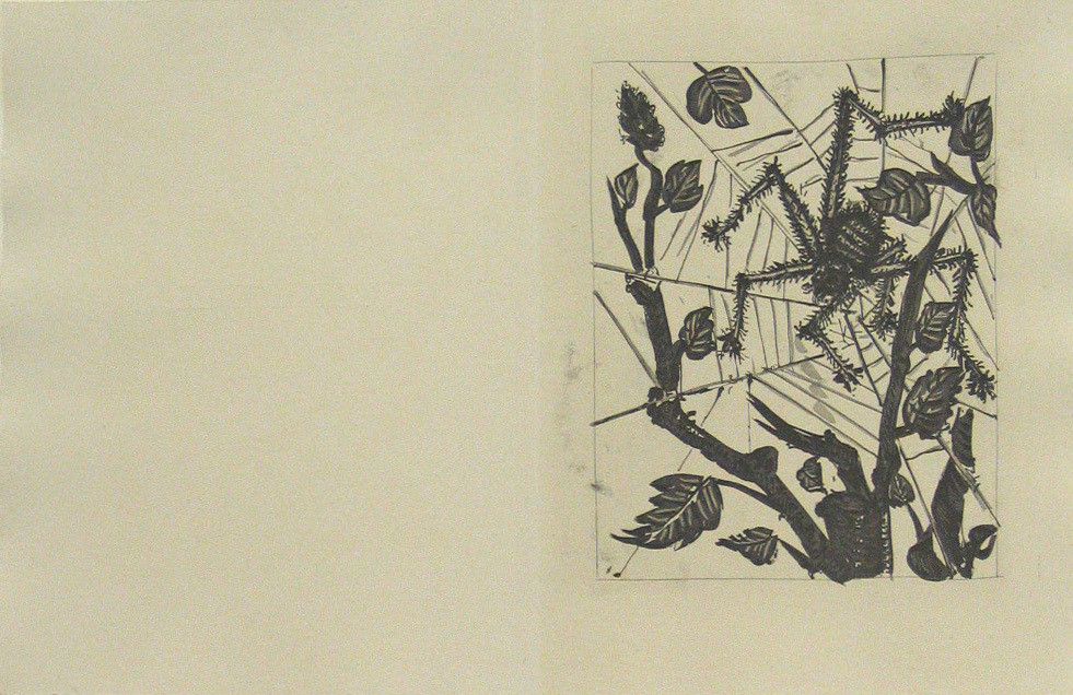 Pablo Picasso. The Spider (L&#39;Araignée) (plate, facing page 144) from Eaux-fortes originale pour des textes de Buffon (Histoire naturelle). 1936, published 1942