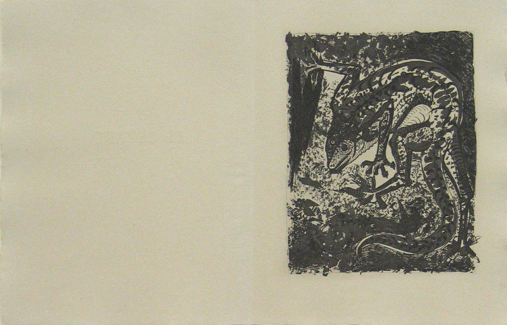 The Lizard (Le Lézard) (plate, facing page 148) from Eaux-fortes originale pour des textes de Buffon (Histoire naturelle)