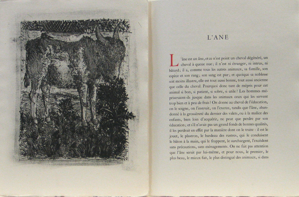 Pablo Picasso. The Donkey (L'Âne) from Eaux-fortes originale pour des textes de Buffon (Histoire naturelle). 1936, published 1942