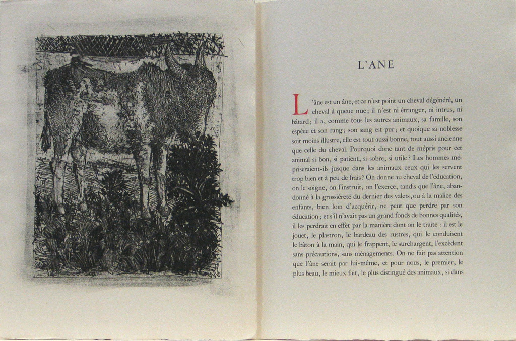 The Donkey (L'Âne) from Eaux-fortes originale pour des textes de Buffon (Histoire naturelle)