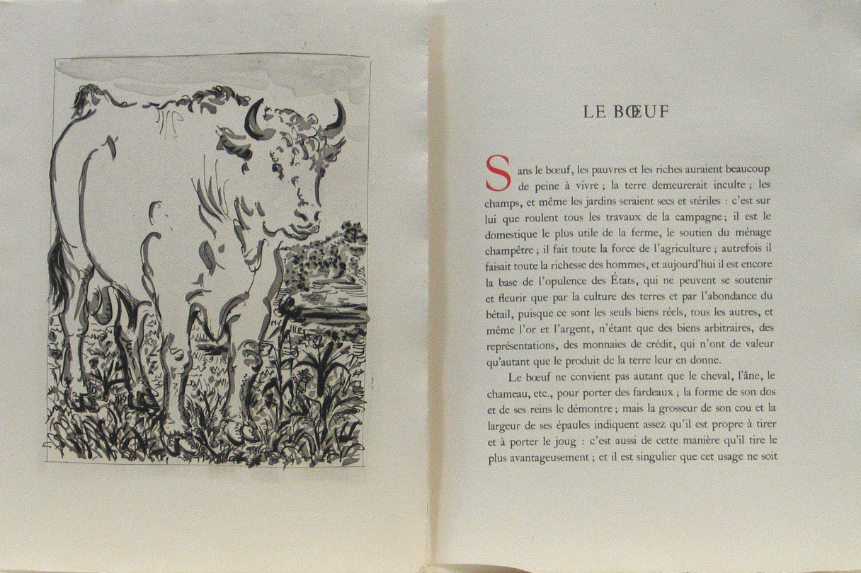 Pablo Picasso. The Bull (Le Bœuf) from Eaux-fortes originale pour des textes de Buffon (Histoire naturelle). 1936, published 1942