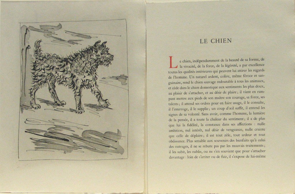 The Dog (Le Chien) (plate, facing page 46) from Eaux-fortes originale pour des textes de Buffon (Histoire naturelle)