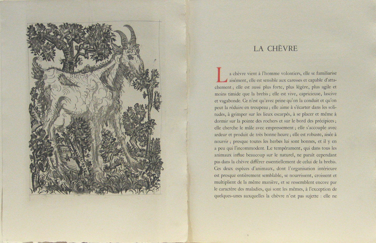 Pablo Picasso. The Goat (La Chèvre) (plate, facing page 56) from Eaux-fortes originale pour des textes de Buffon (Histoire naturelle). 1936, published 1942