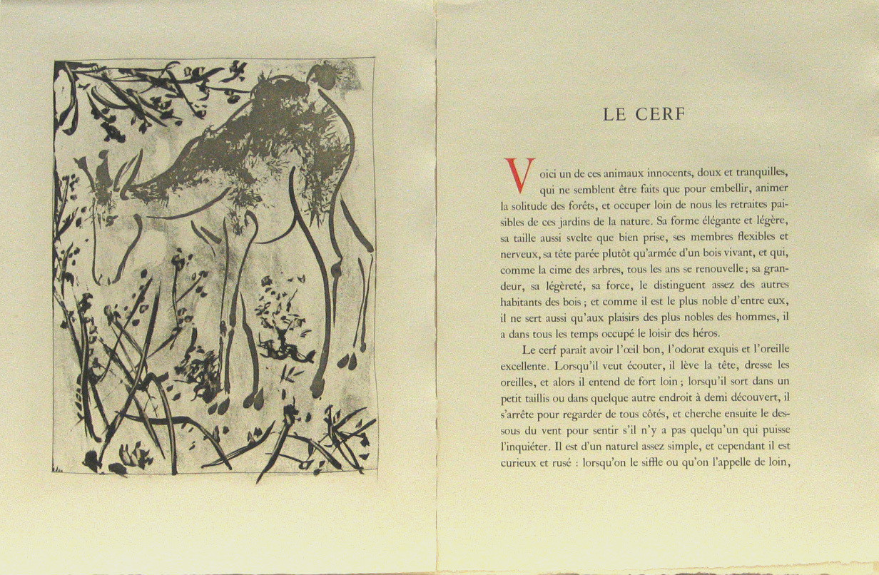 Pablo Picasso. The Doe (Le Cerf) (plate, facing page 62) from Eaux-fortes originale pour des textes de Buffon (Histoire naturelle). 1936, published 1942