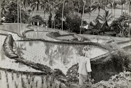 Henri Cartier-Bresson. Henri Cartier-Bresson: Sumatra, Indonesia. 1950. 1950