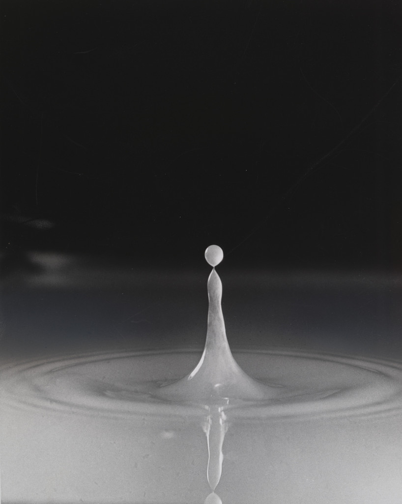 Milk Drop