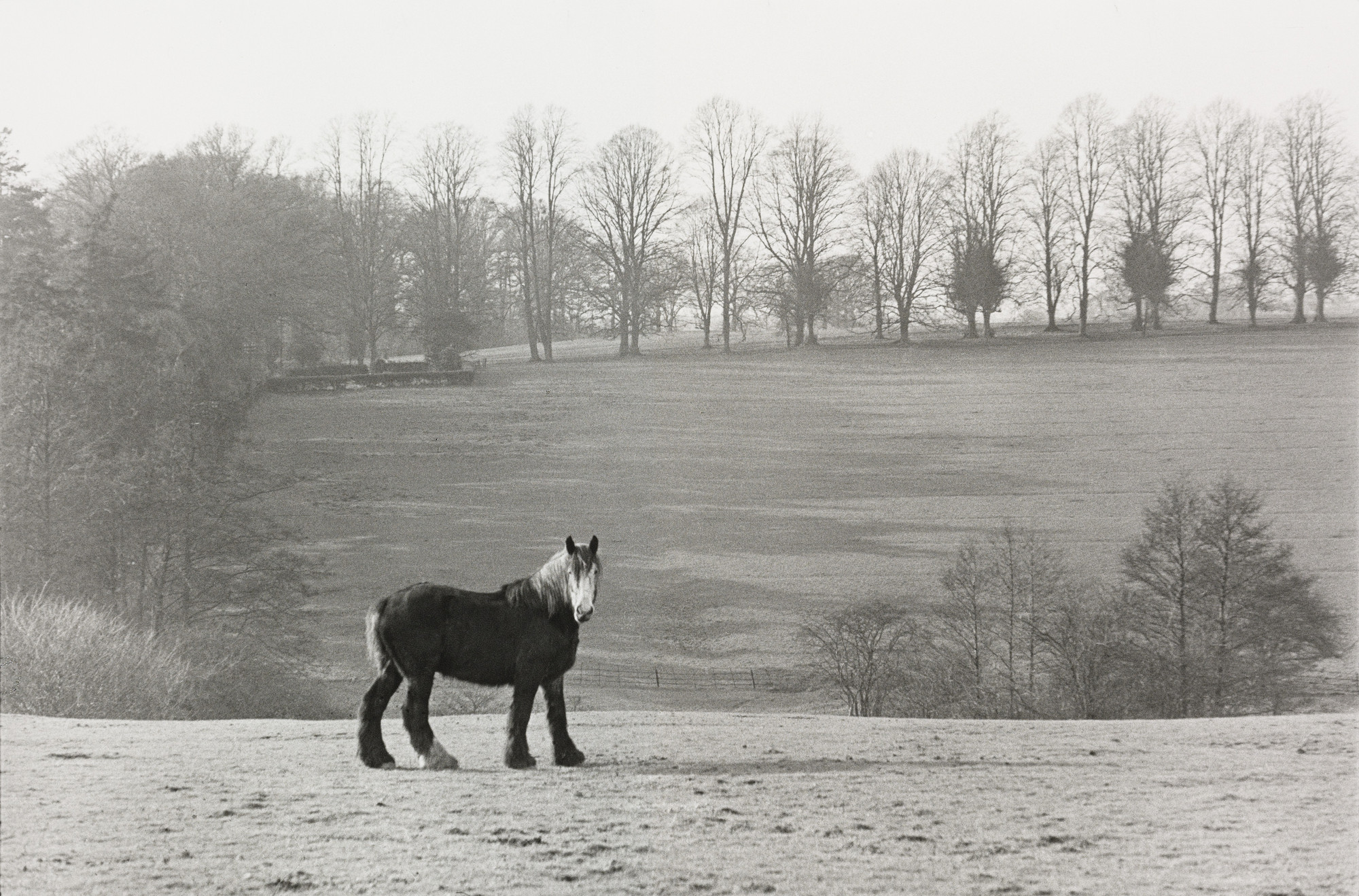 Henri Cartier-Bresson. Sussex