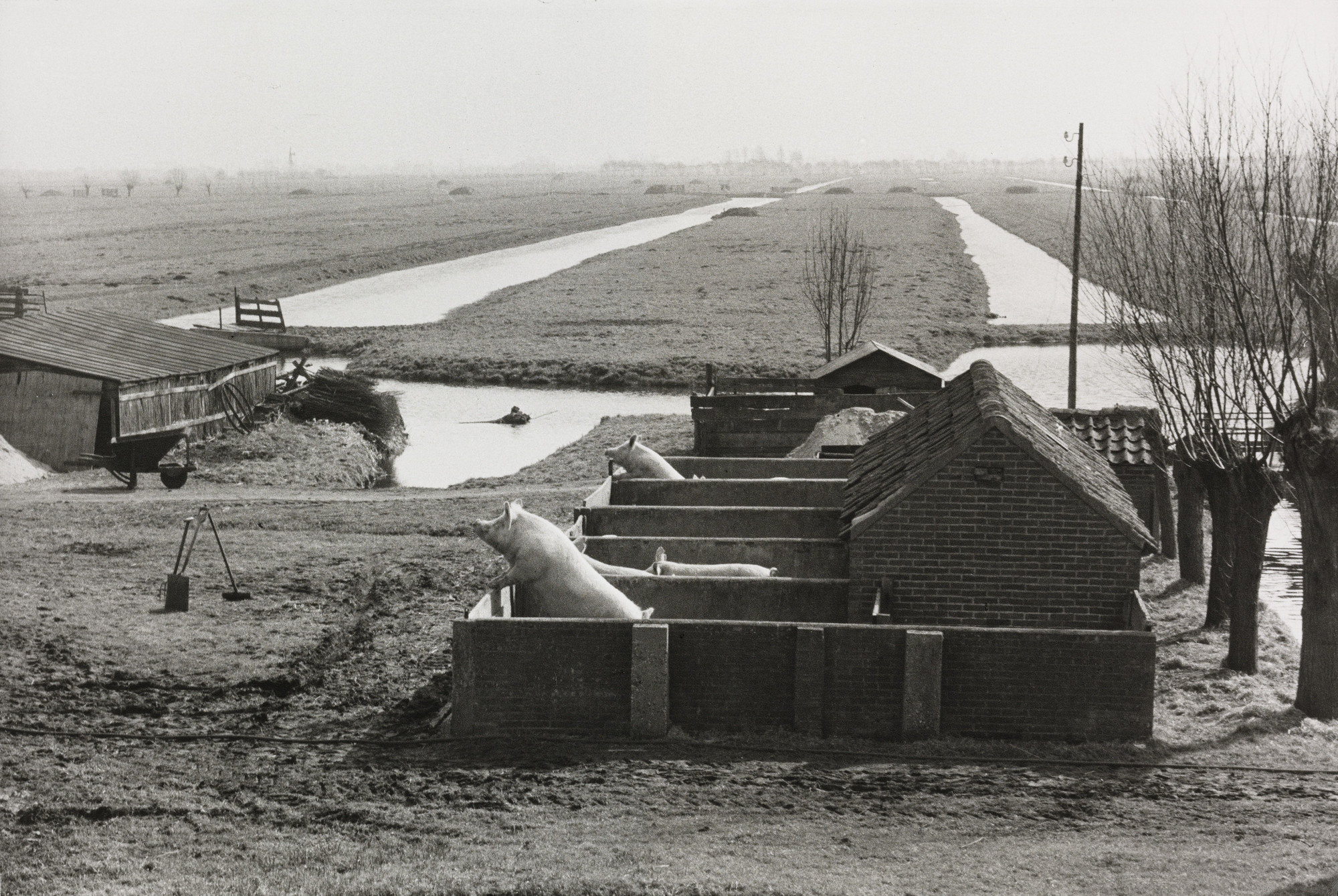 Henri Cartier-Bresson. Near Gouda, The Netherlands
