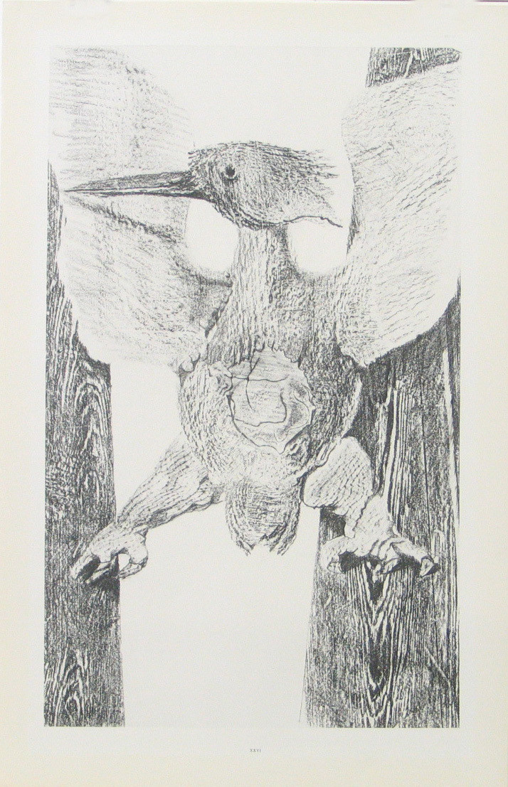 Max Ernst. The Origin of the Clock (L'Origine de la pendule) from Natural History (Histoire naturelle). c. 1925, published 1926