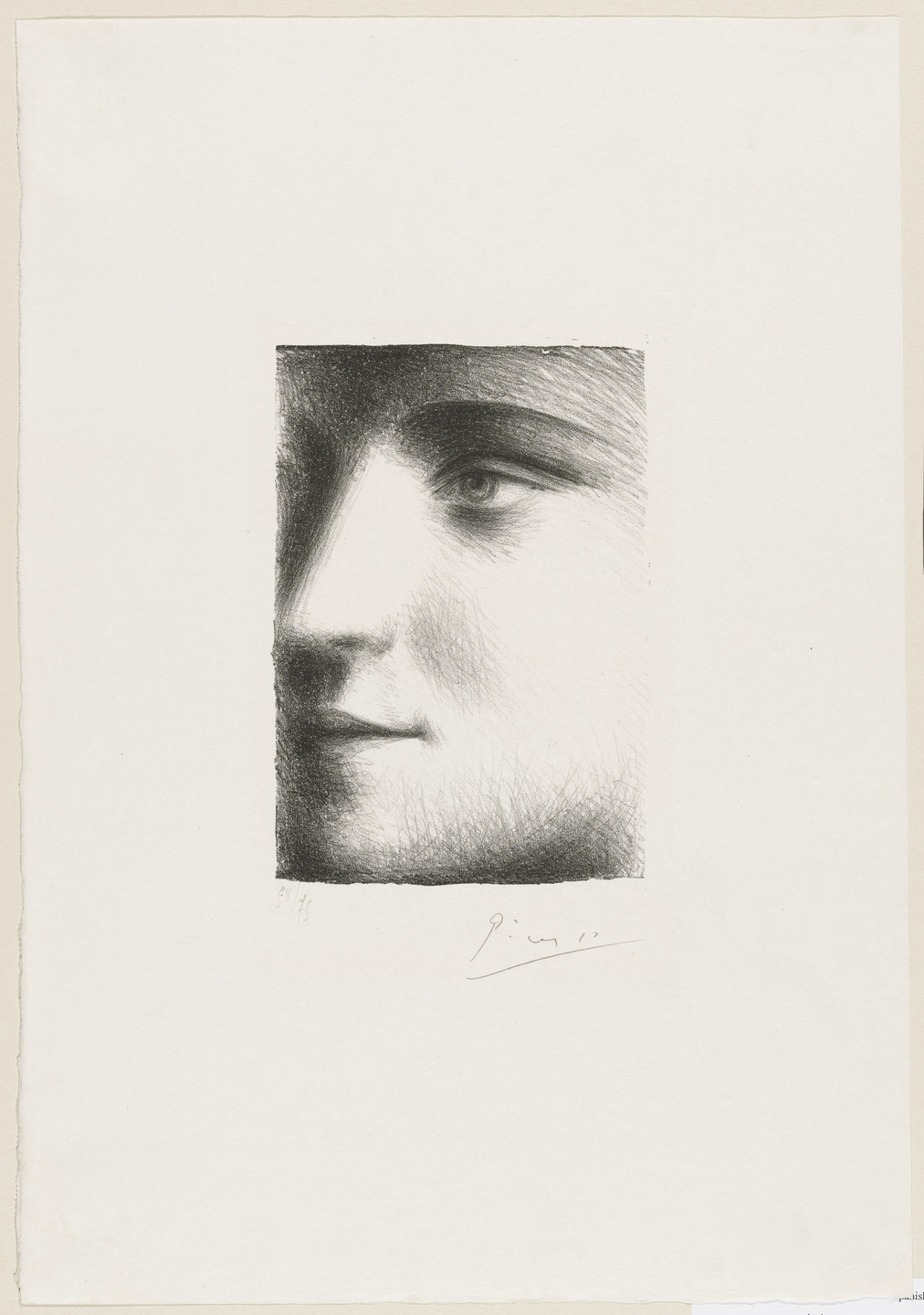 Pablo Picasso. Face of Marie-Thérèse (Visage de Marie-Thérèse). 1928