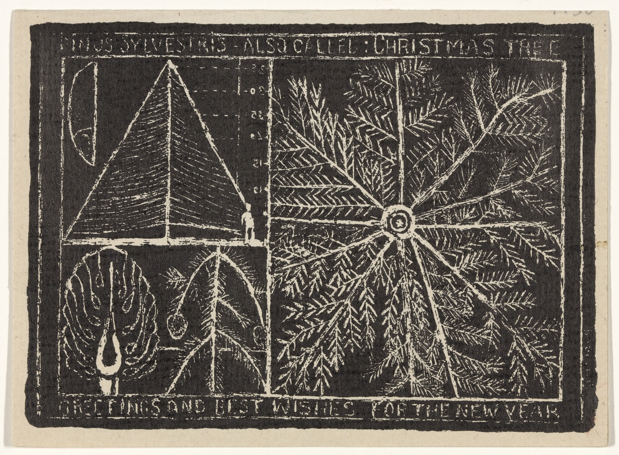 Louise Bourgeois. Pinus Sylvestris, only state