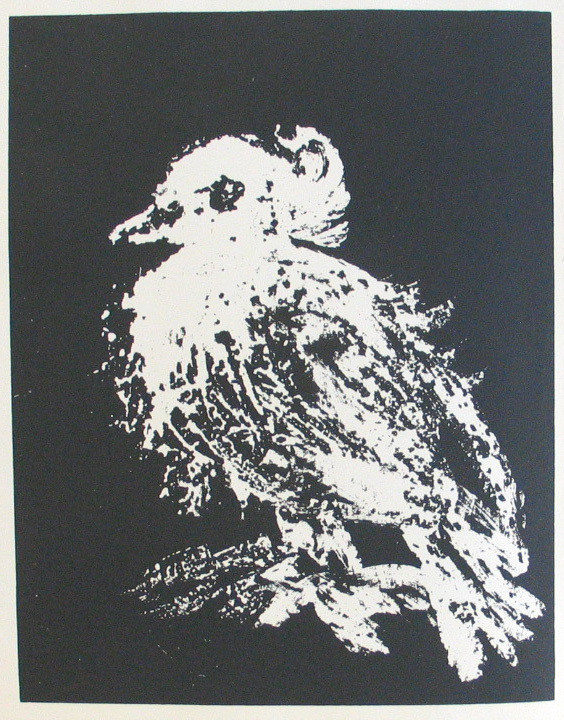 The Little Dove (frontispiece) from the illustrated book Picasso Lithographe I