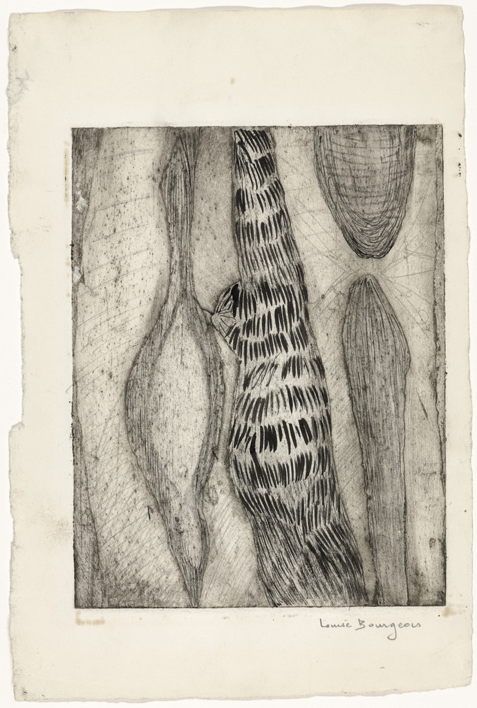 Les Mollusques