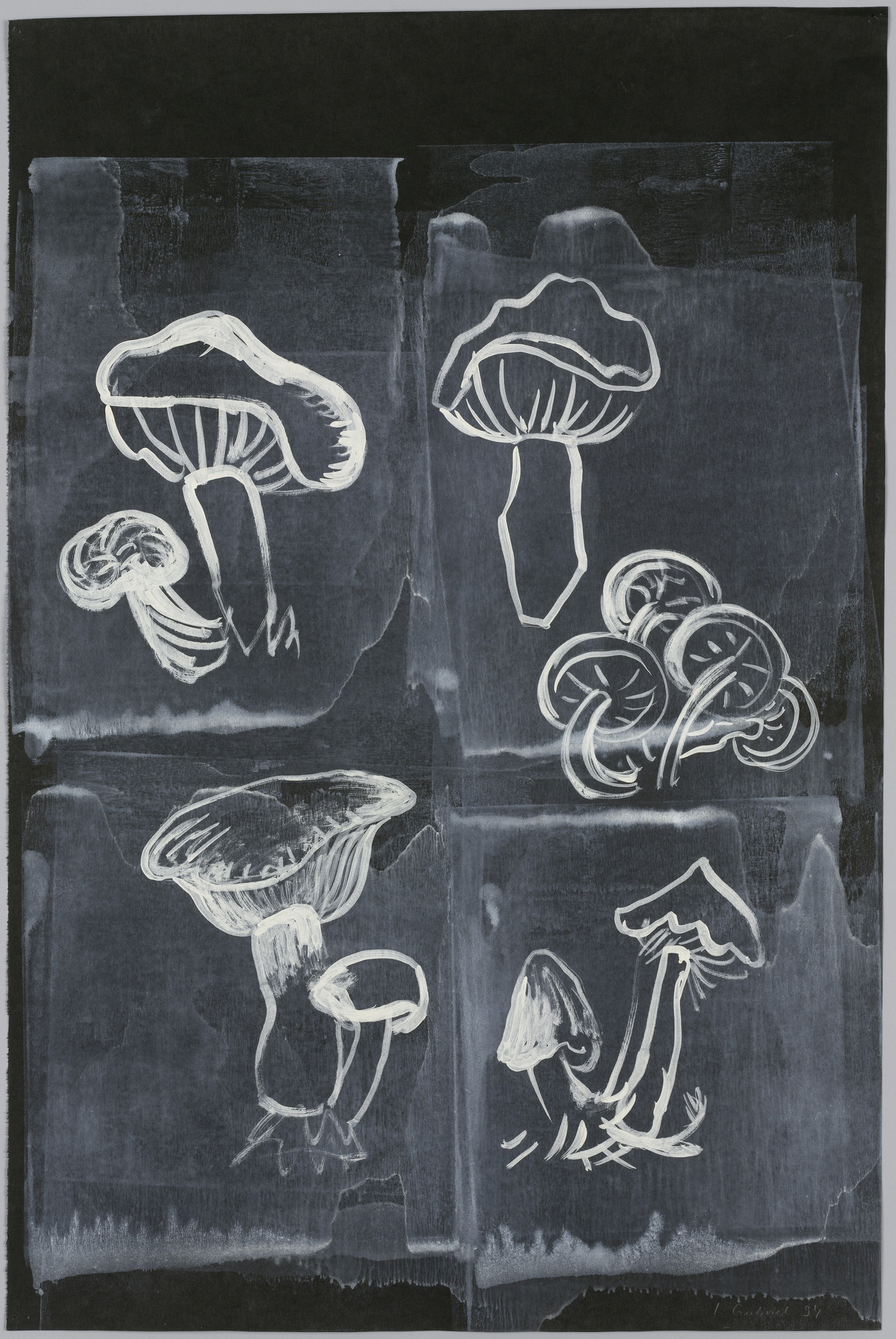 Ingeborg Gabriel. Untitled (mushrooms)