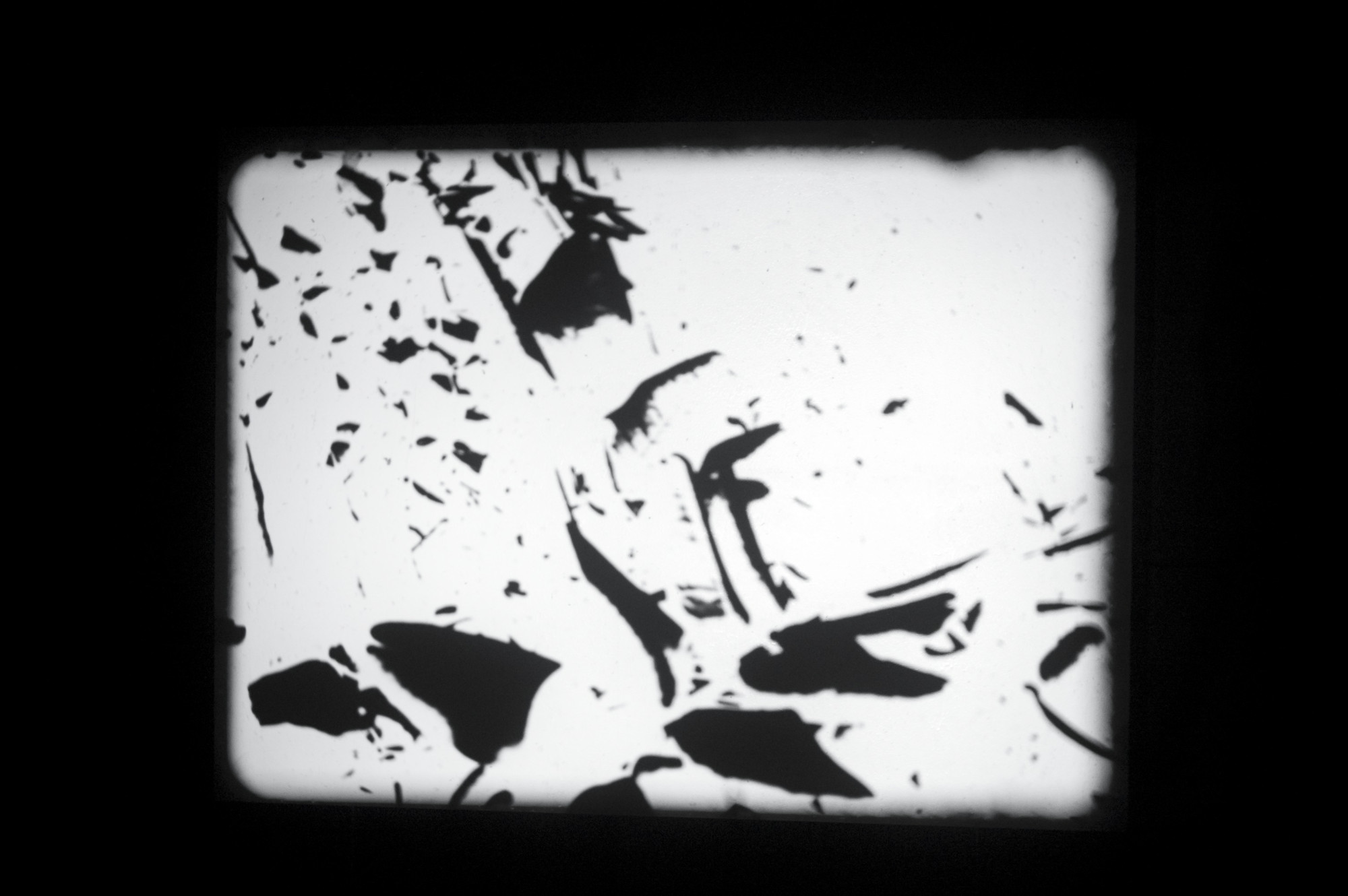 Joachim Koester. Morning of the Magicians