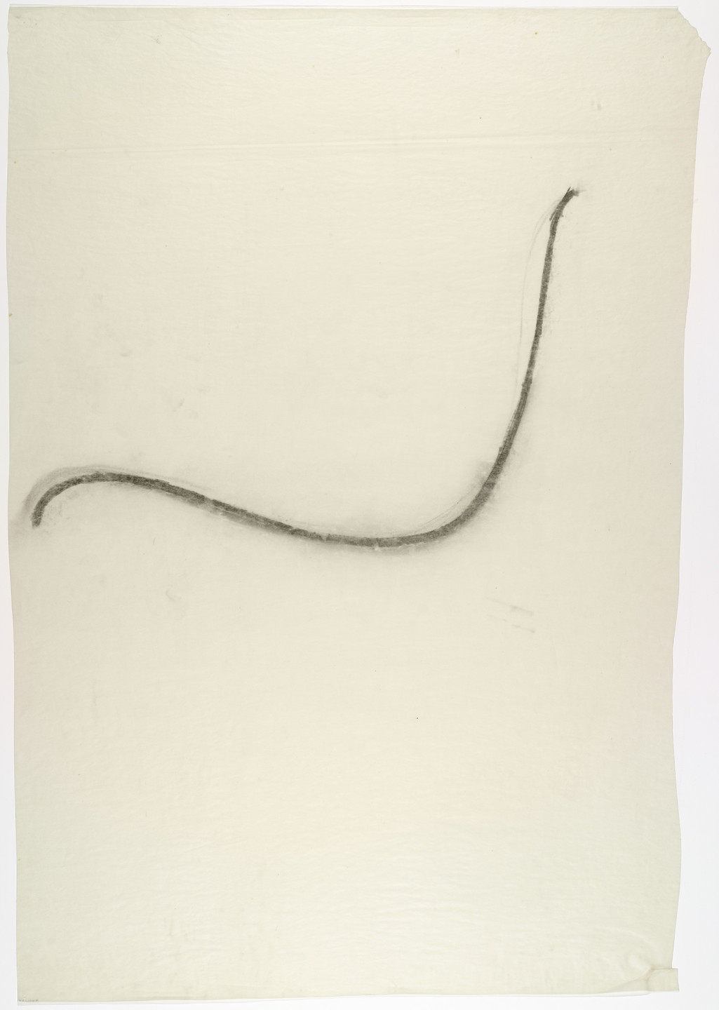 Lilly Reich. Chair Seat Curve. c. 1931