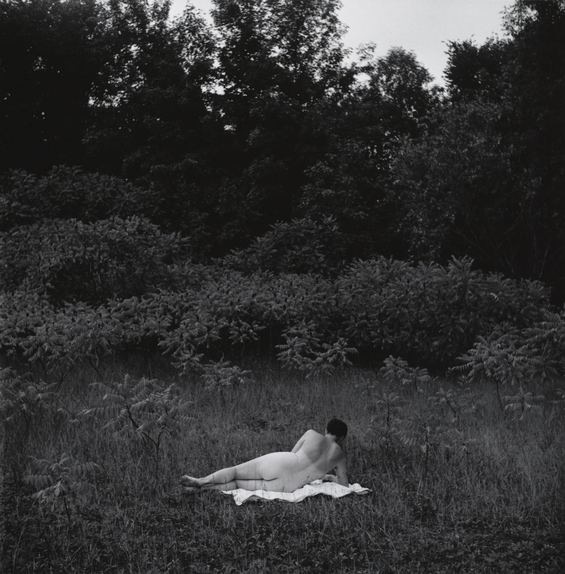 Harry Callahan. Eleanor, Port Huron