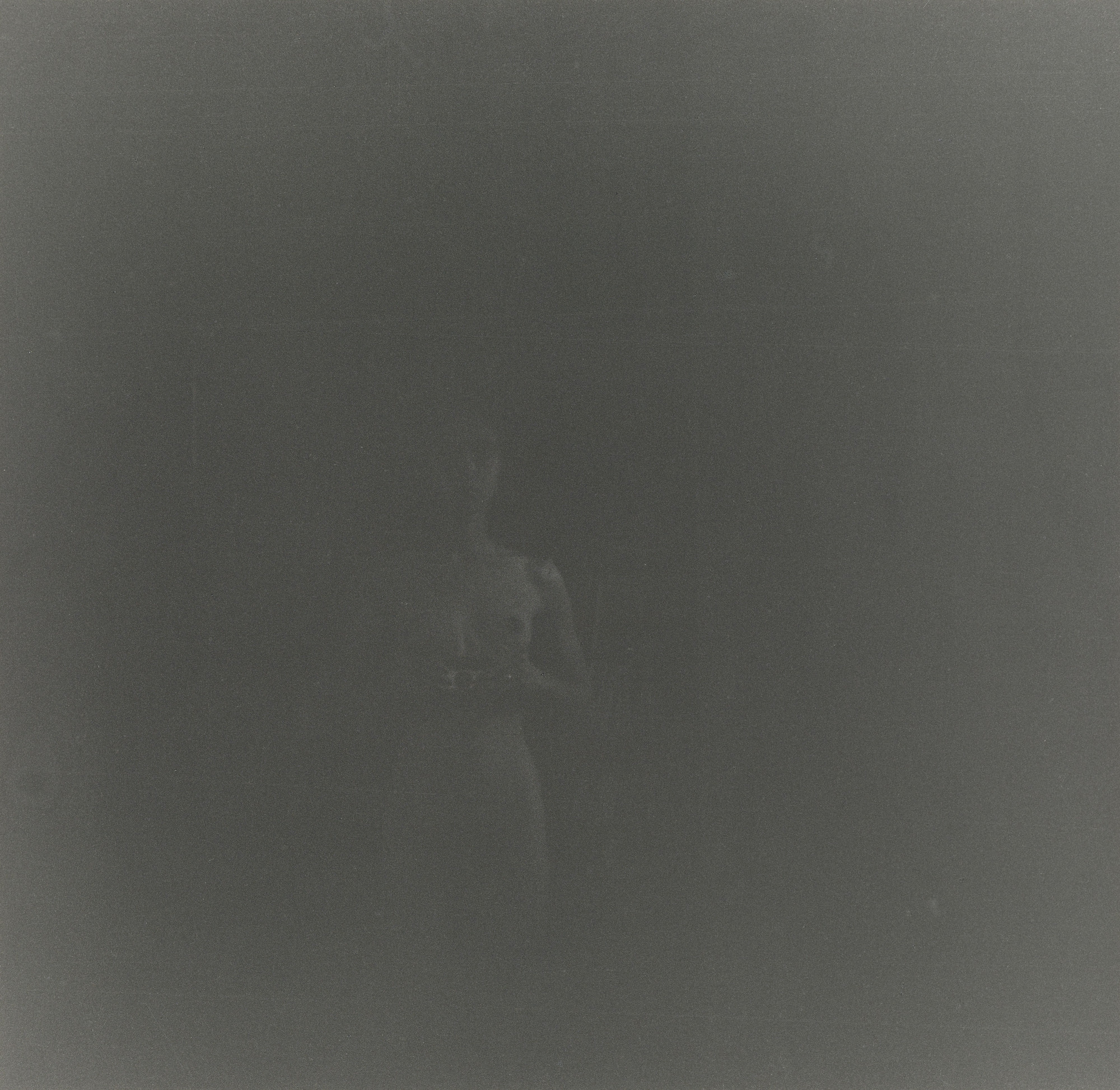 Adrian Piper. Food for the Spirit #13