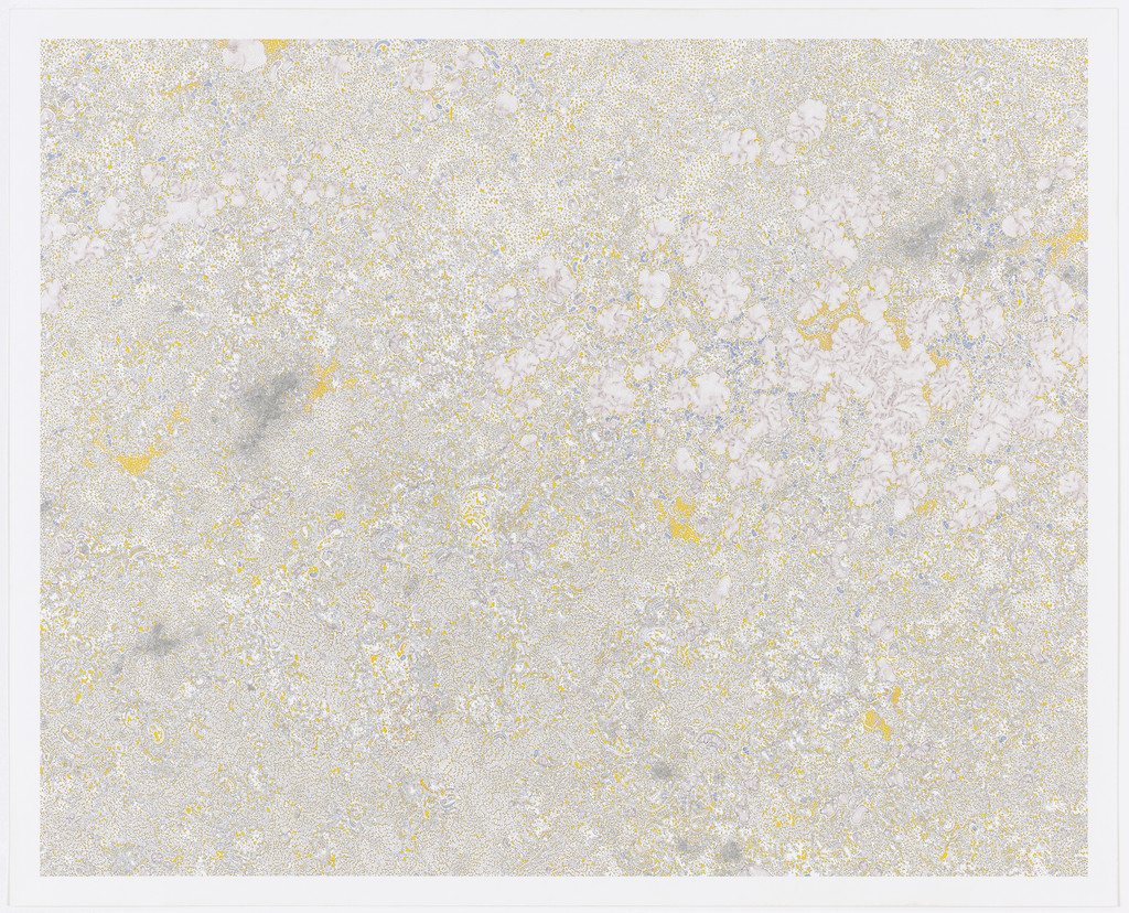 Cryptonymous Infusion