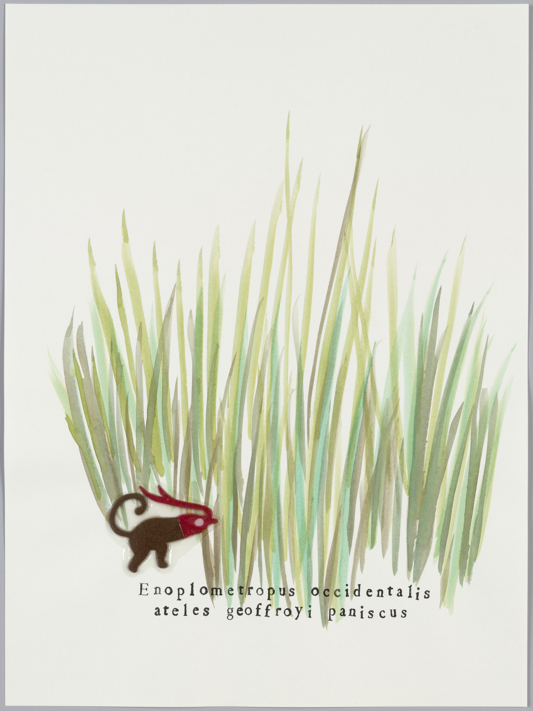 Katerina Lanfranco. Lobster in Tall Grass. 2003