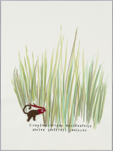 Lobster in Tall Grass