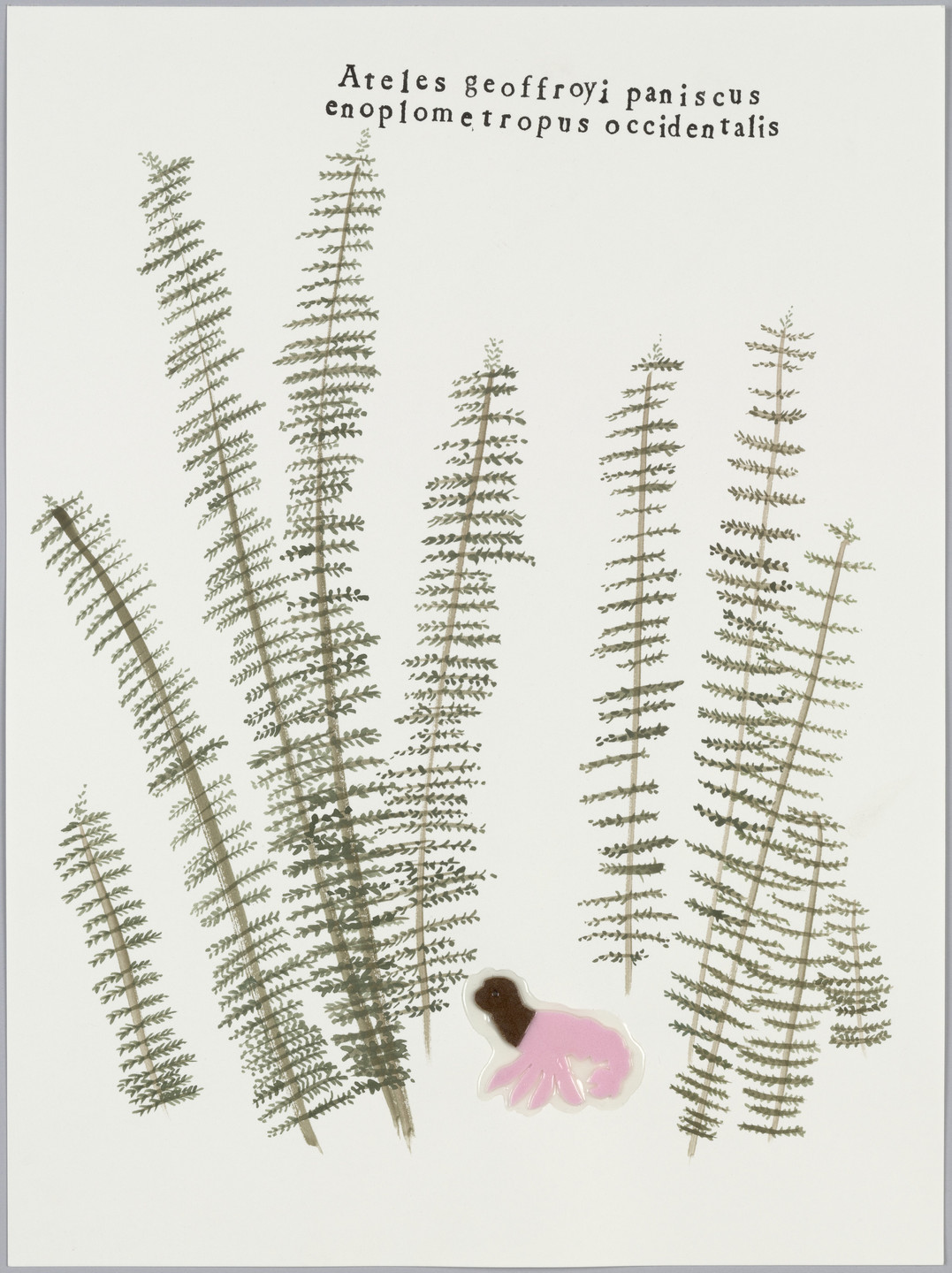 Katerina Lanfranco. Monkey in Ferns. 2003