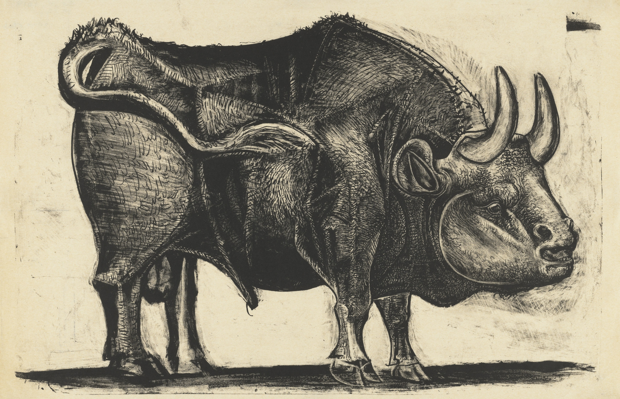 Pablo Picasso. The Bull (Le Taureau), state IV. 1945 | MoMA