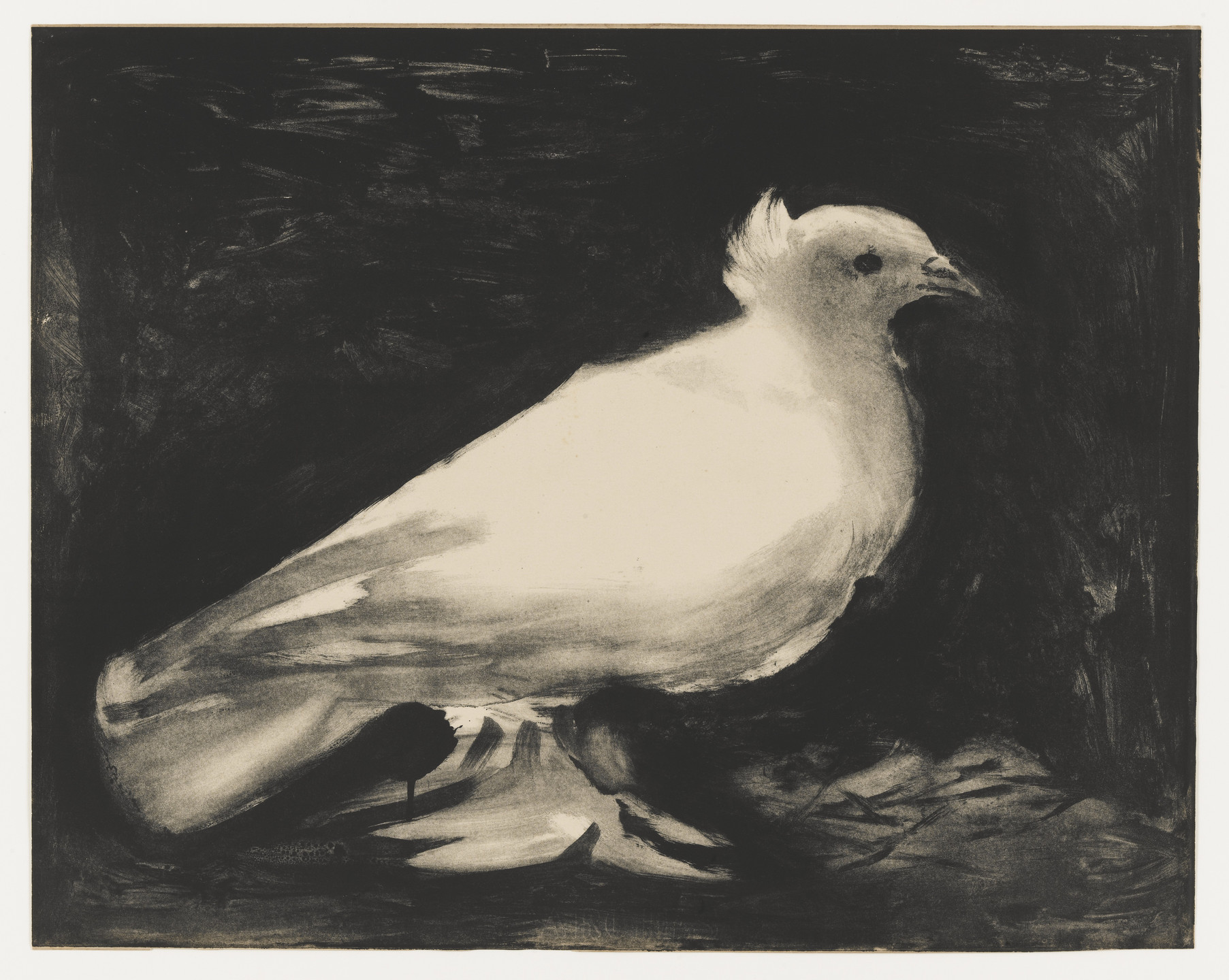 Pablo Picasso. The Dove (La Colombe). 1949