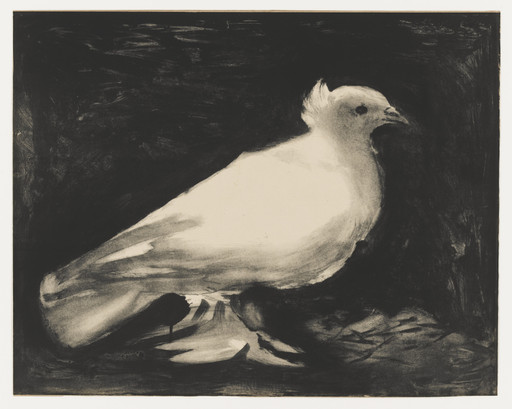 Pablo Picasso. The Dove (La Colombe). 1949 | MoMA