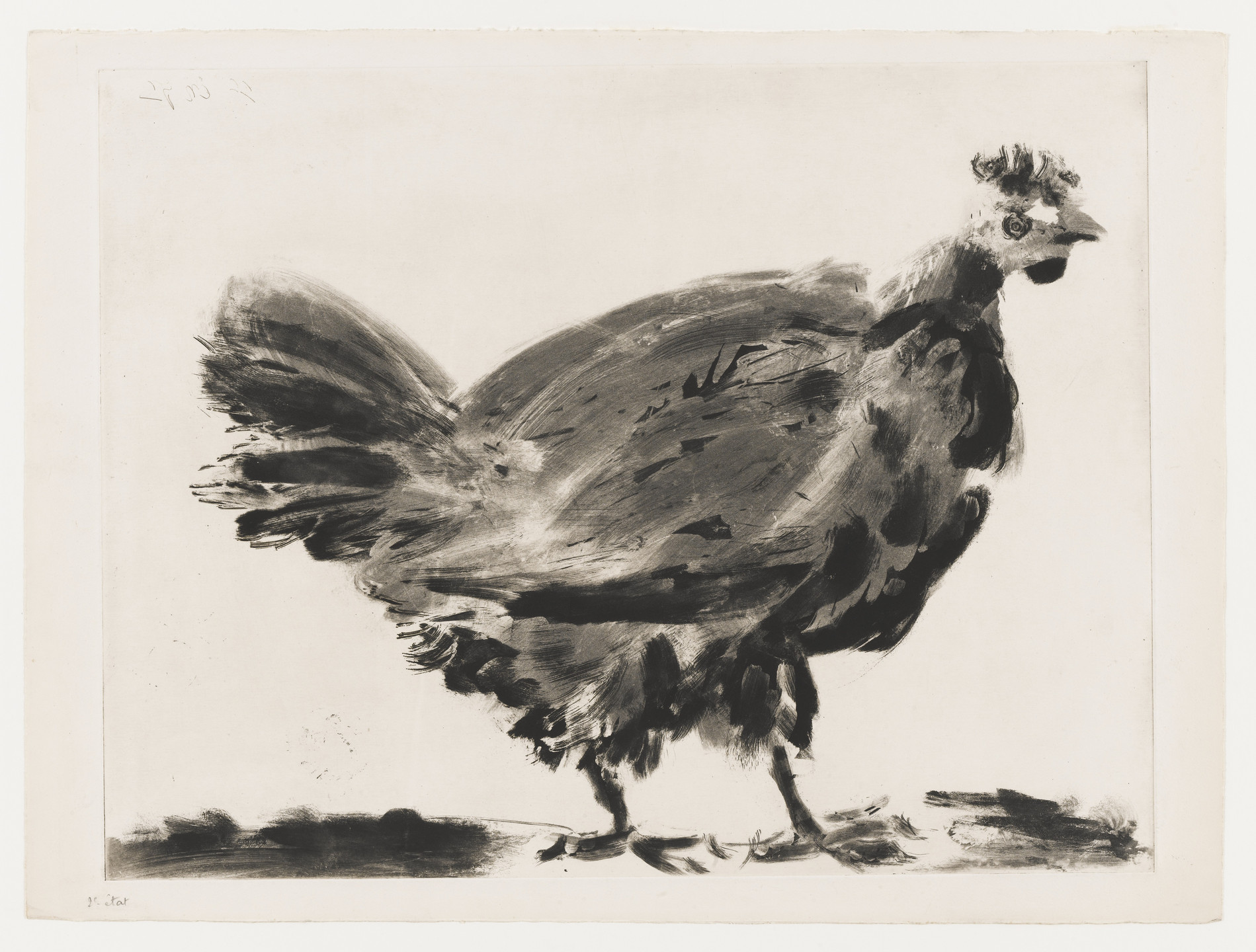 Pablo Picasso. The Hen (La Poule). 1952