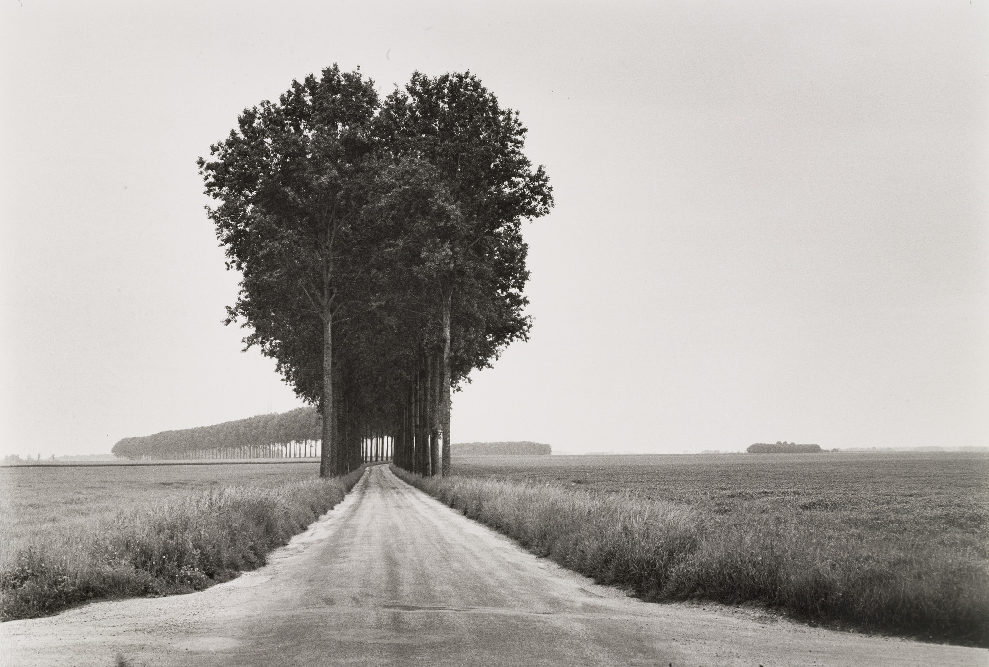 Henri Cartier-Bresson. Brie, France