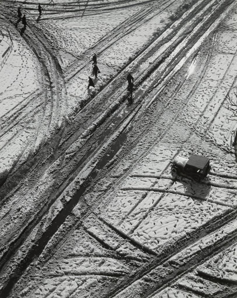 Snow Trail