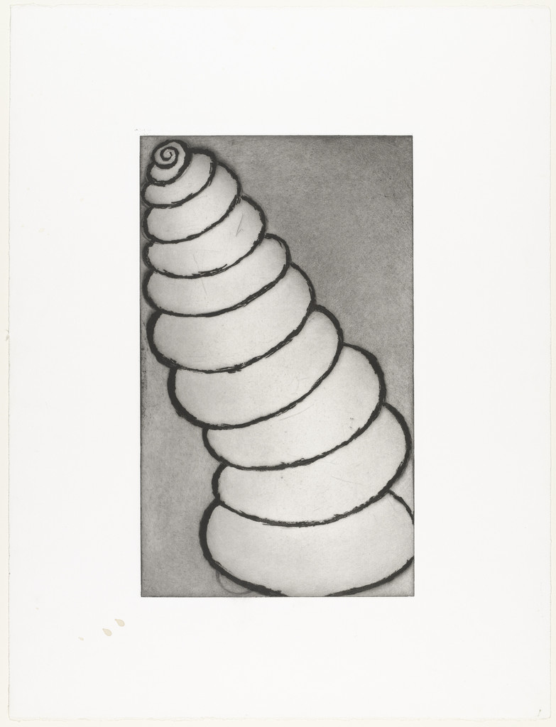 Shell