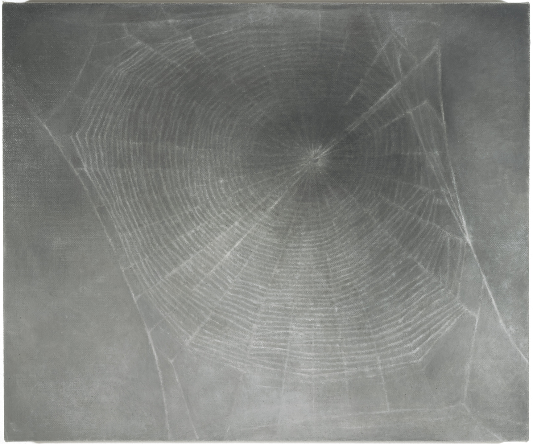 Vija Celmins. Web #3. 2000-02