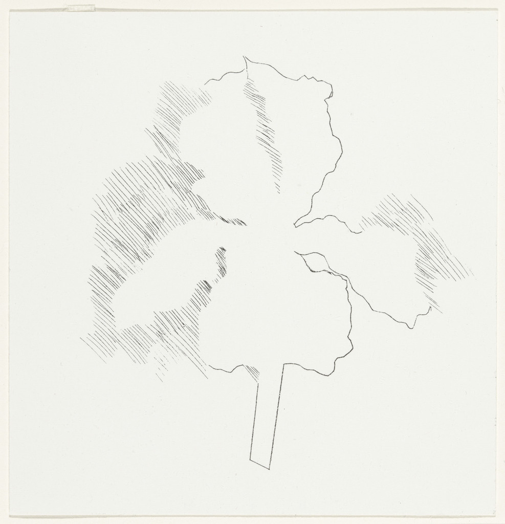 Players Dracula Decimo