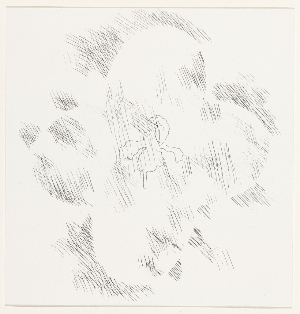 Players Dracula Duodecimo