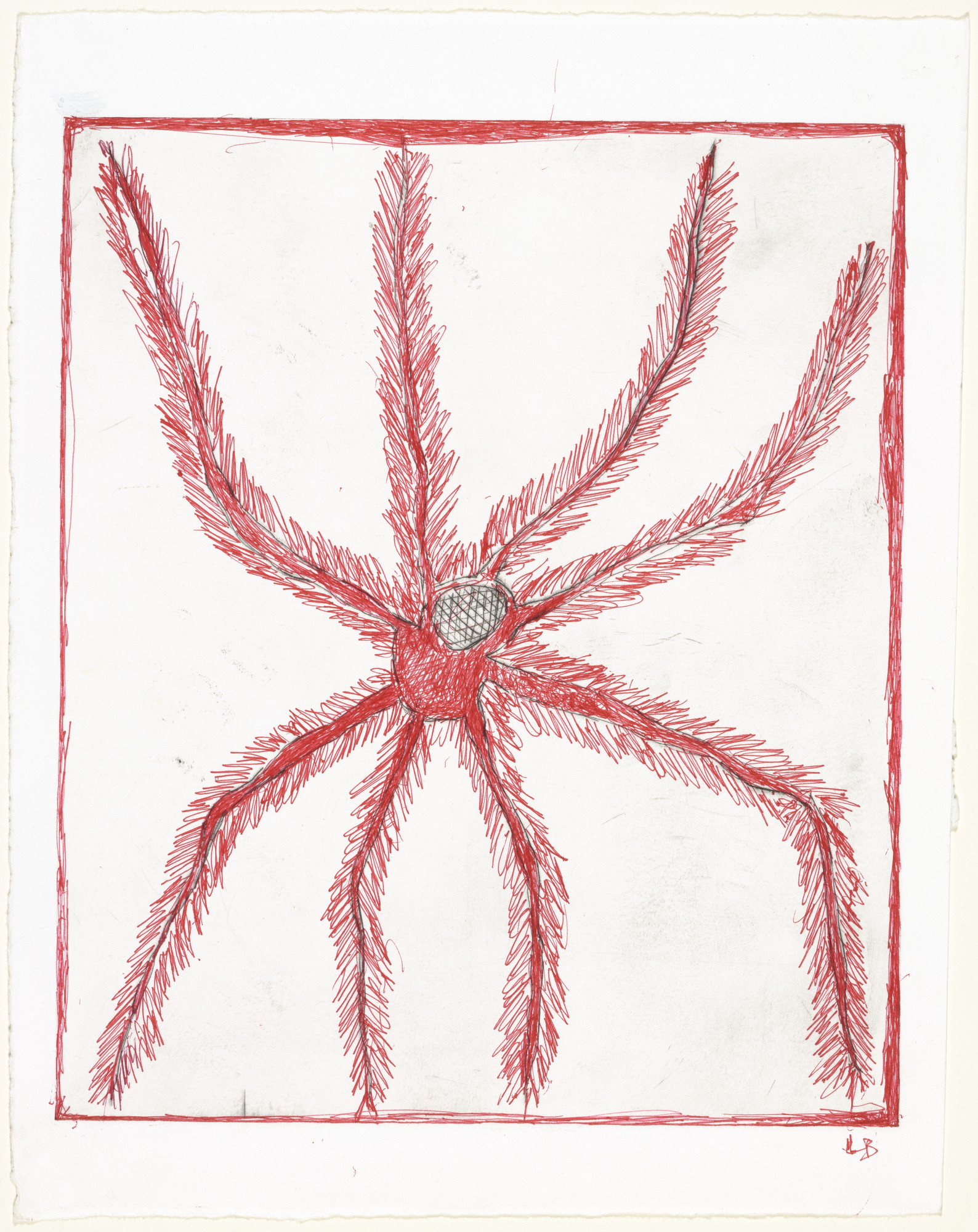 Louise Bourgeois. Hairy Spider, state I of II