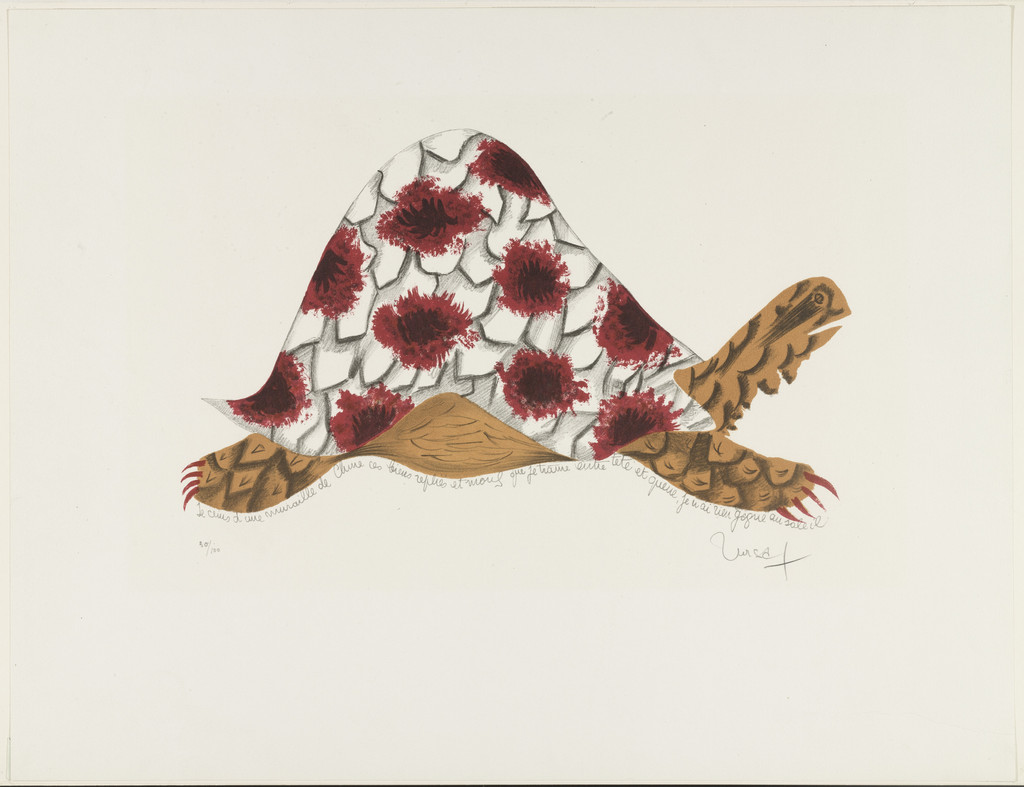 Tortoise