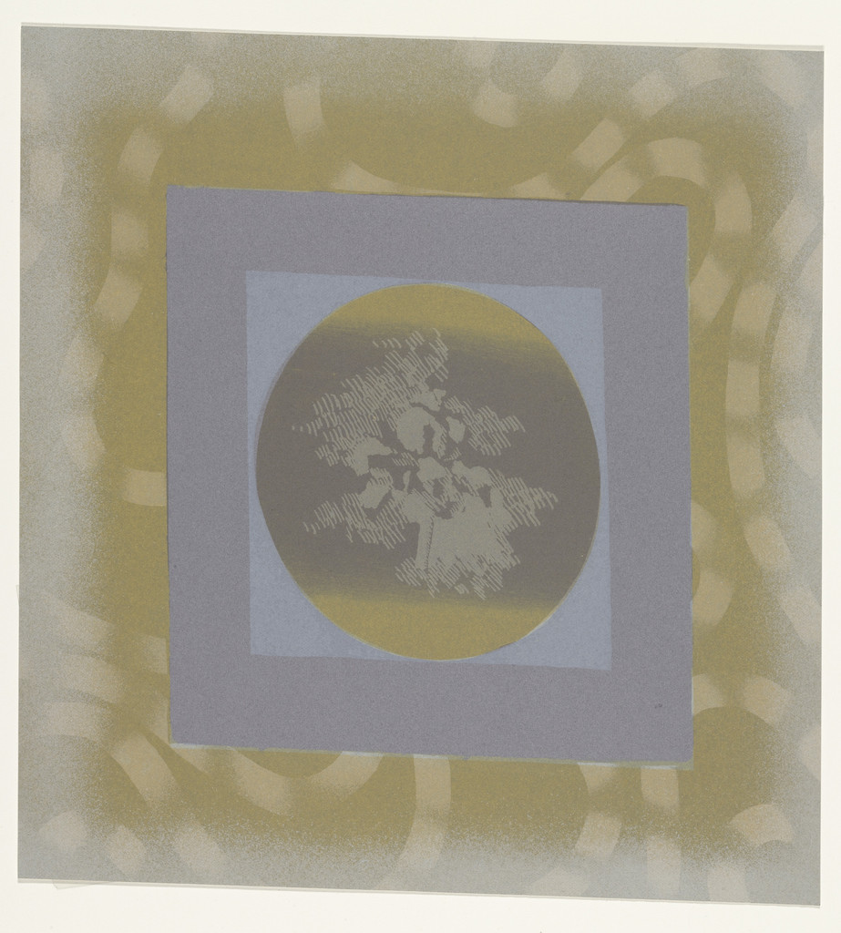 Cockatoo AAA Dracula